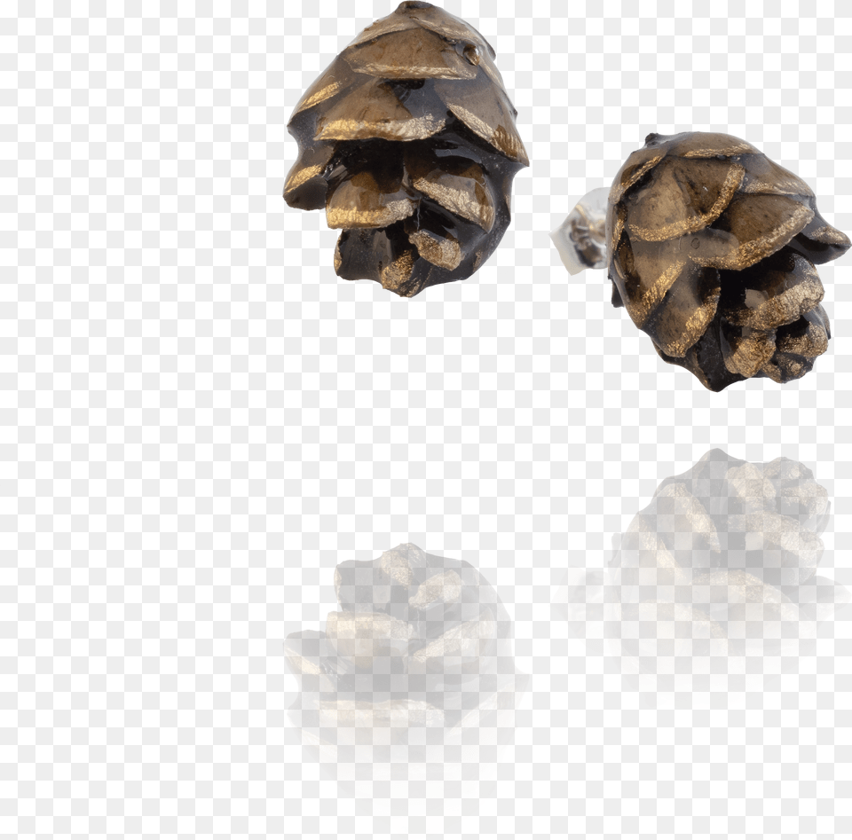 Transparent Pinecones Western Yellow Pine Free Png Download