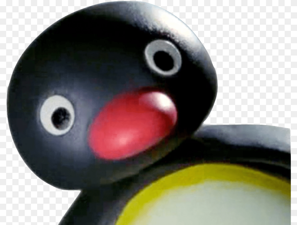 Pingu Noot Noot, Animal, Beak, Bird Free Transparent Png
