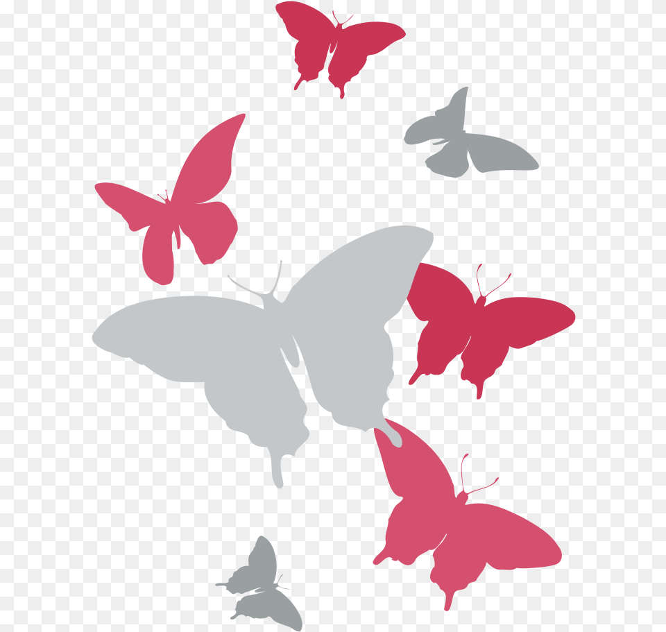 Transparent Pink Butterfly Clipart, Animal, Bird, Flying, Flower Png