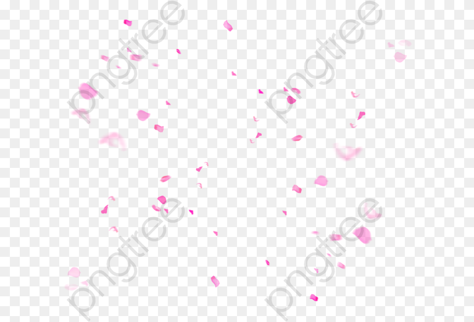 Transparent Pink Confetti Format With Size Circle, Flower, Paper, Petal, Plant Png Image
