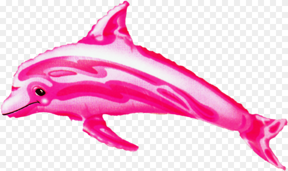 Transparent Pink Dolphin Balloon, Animal, Mammal, Sea Life, Flower Free Png