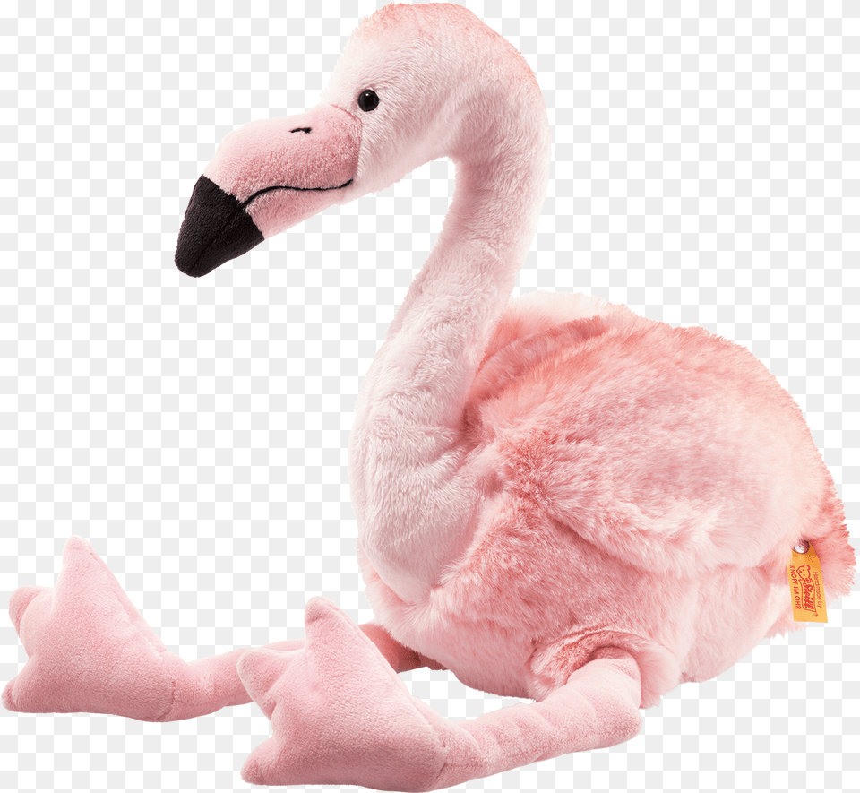 Pink Flamingo, Animal, Beak, Bird, Bear Free Transparent Png