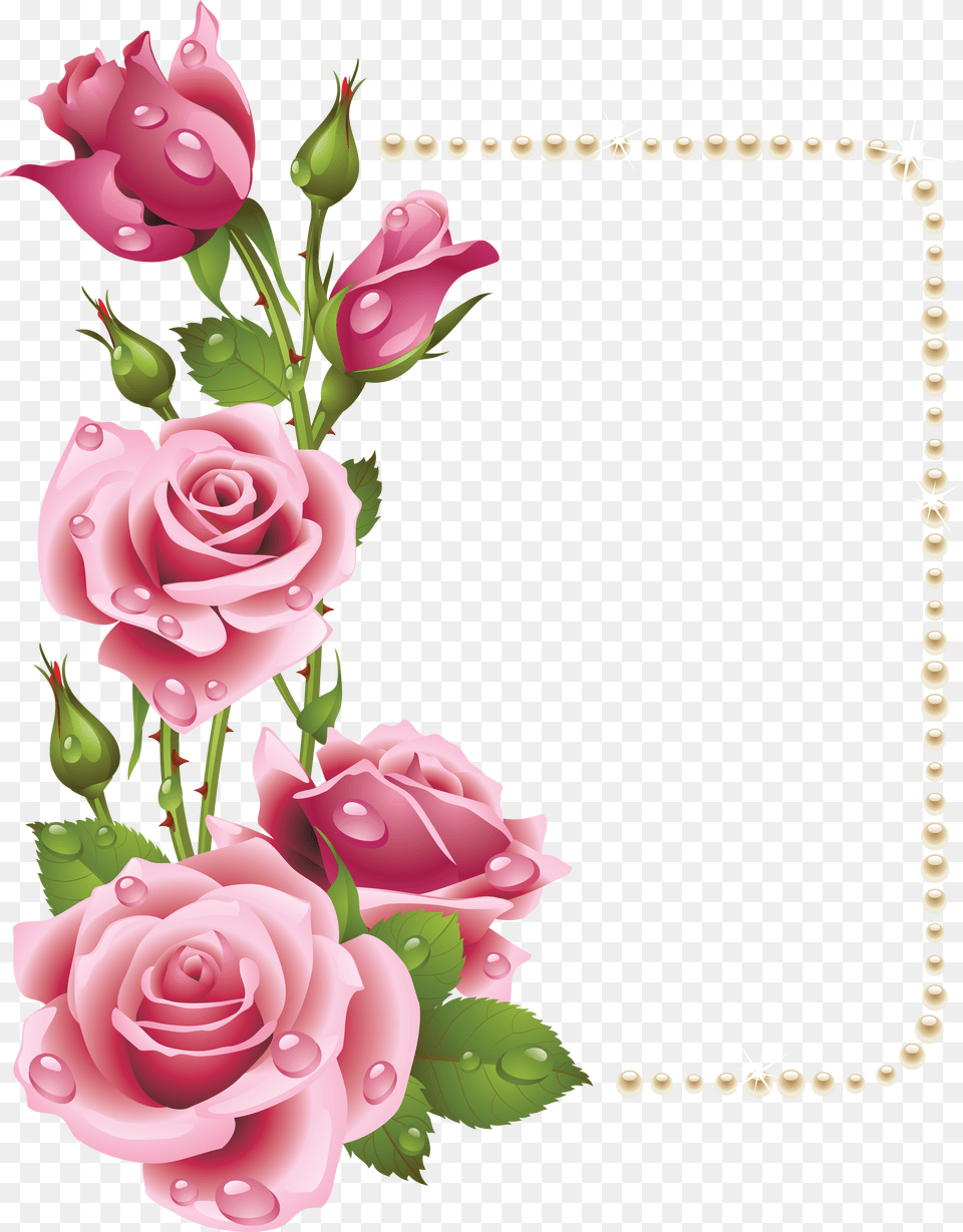 Transparent Pink Rose Border Rose Frame, Flower, Plant, Art, Floral Design Free Png Download