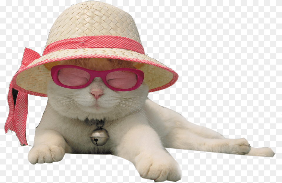 Transparent Pink Santa Hat Sun Hat For Cats, Clothing, Sun Hat, Accessories, Sunglasses Png Image