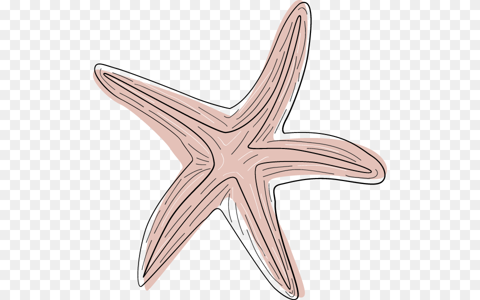 Transparent Pink Starfish Clipart Starfish, Animal, Sea Life, Invertebrate, Fish Free Png Download