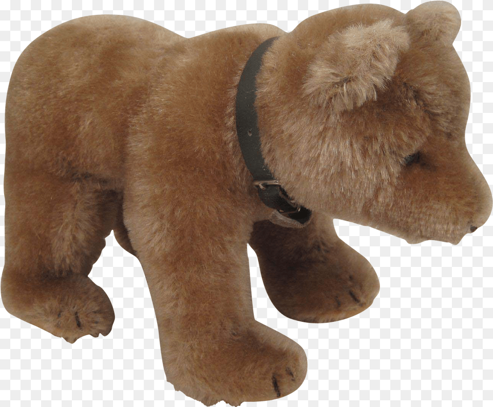 Transparent Pink Teddy Bear Teddy Bear, Animal, Mammal, Wildlife, Brown Bear Png