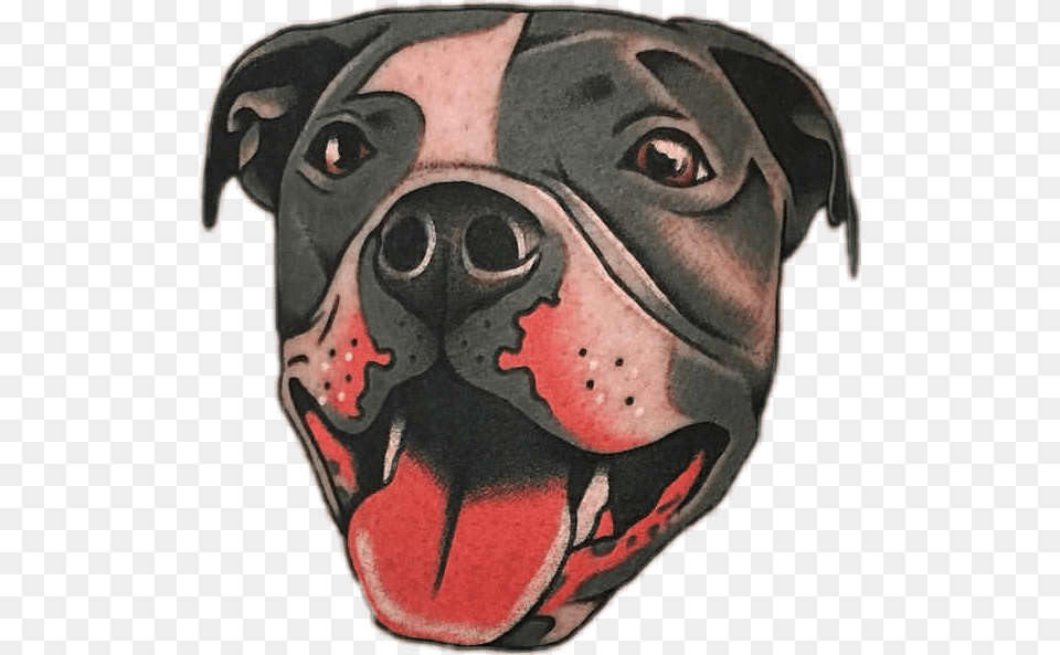 Transparent Pitbull Dog Old School Dog Tattoo, Snout, Skin, Person, Pet Free Png Download
