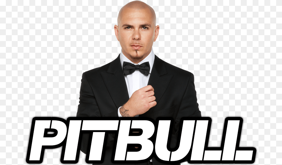 Pitbull Singer Pitbull, Accessories, Tie, Suit, Tuxedo Free Transparent Png
