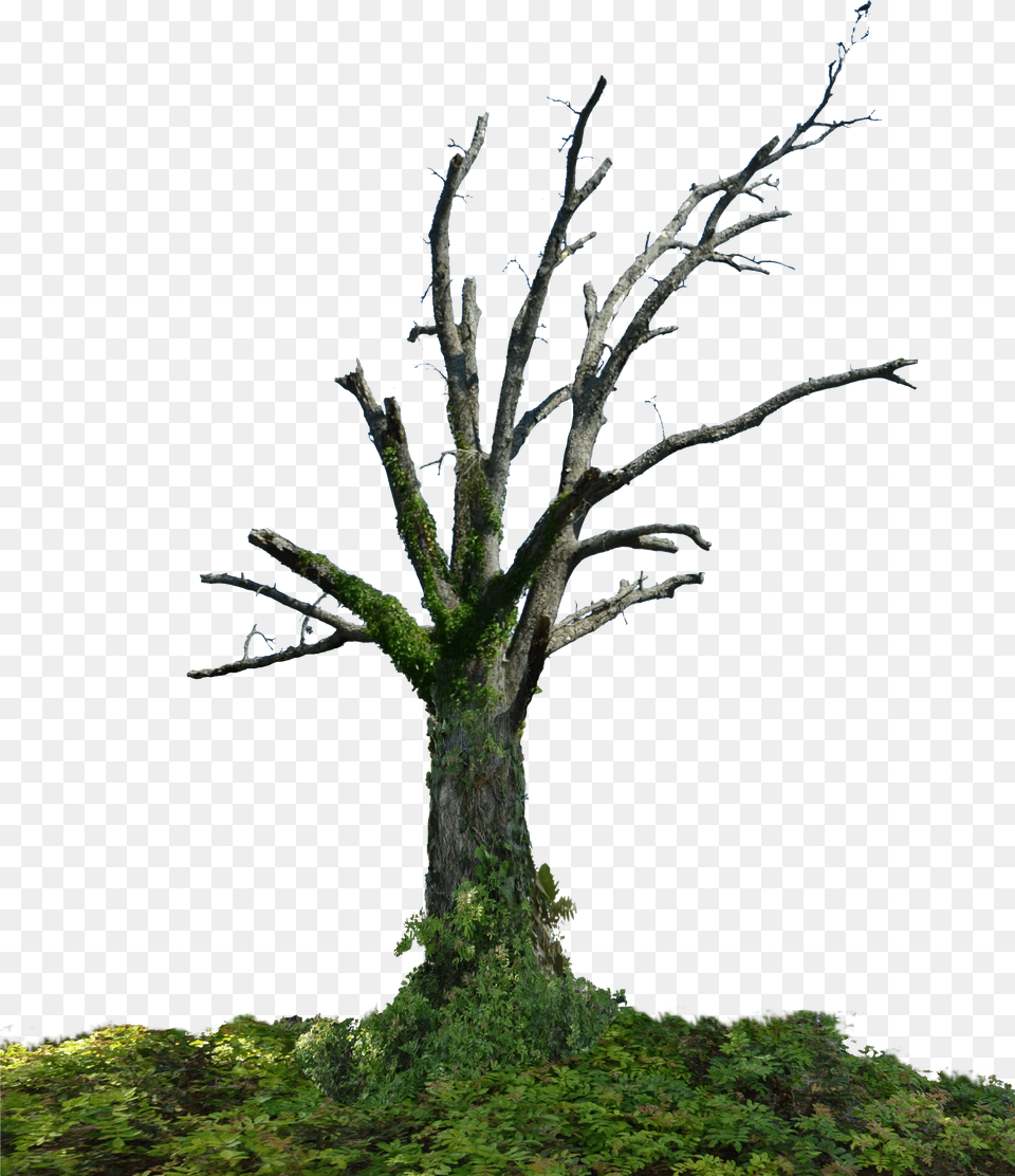 Transparent Pixel Tree Dead Tree Hd, Text Free Png