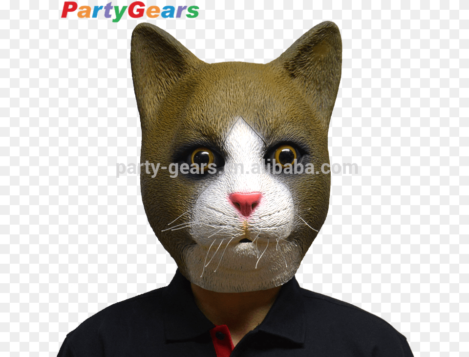 Transparent Plague Doctor Mask, Snout, Animal, Cat, Mammal Free Png Download