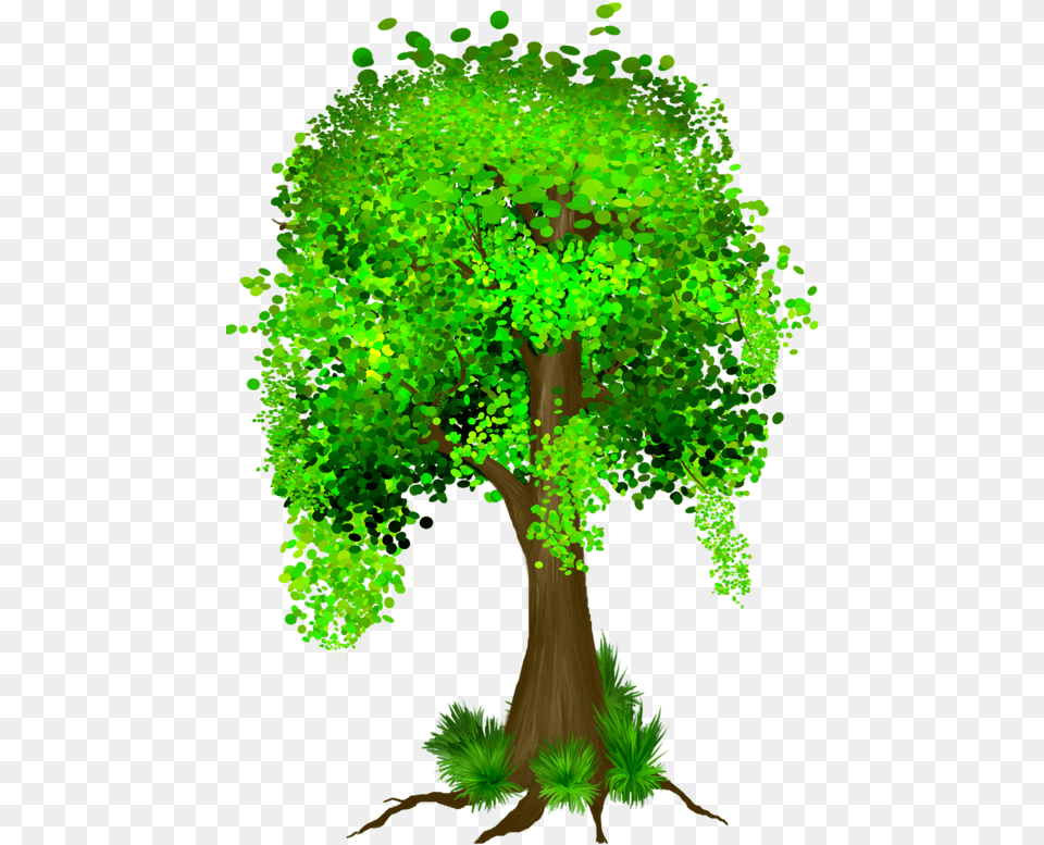 Transparent Plant Cartoon, Green, Vegetation, Tree Trunk, Tree Free Png Download