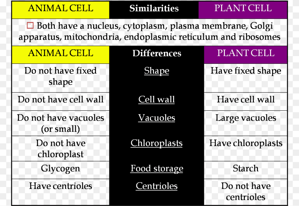 Transparent Plant Cell Clipart Similarities And Differences Of Animal And Plant Cell, Text Png