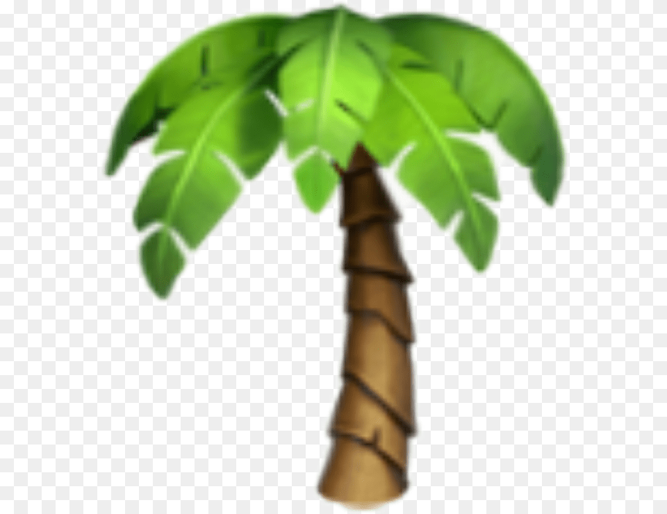 Transparent Plant Emoji Iphone Palm Tree Emoji, Leaf, Palm Tree, Food, Produce Free Png