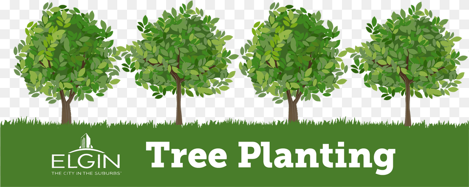 Plant Growing Tree Planting Logo, Oak, Grass, Green, Vegetation Free Transparent Png