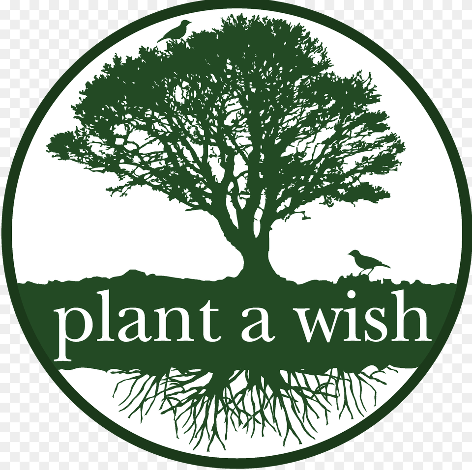 Transparent Plant Logo Green Tree Logo, Oak, Sycamore, Animal, Bird Png