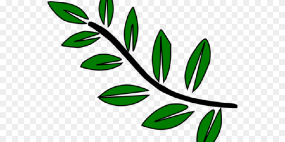 Transparent Plant Stem Tree Branch With Leaves Clipart, Art, Pattern, Leaf, Herbs Free Png