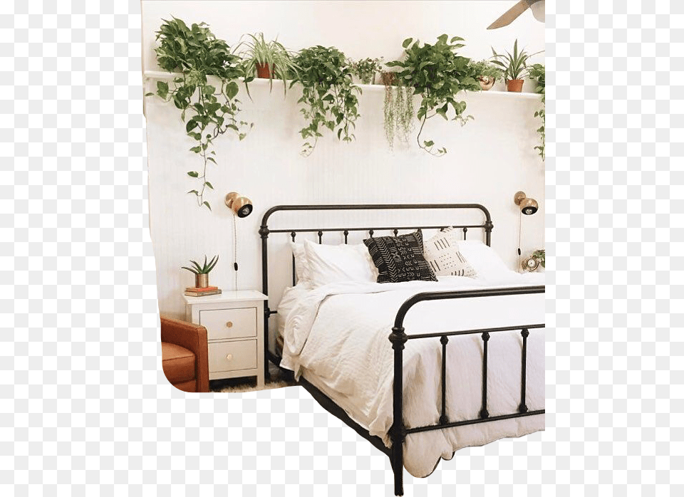 Transparent Plant Tumblr, Potted Plant, Furniture, Indoors, Interior Design Free Png Download
