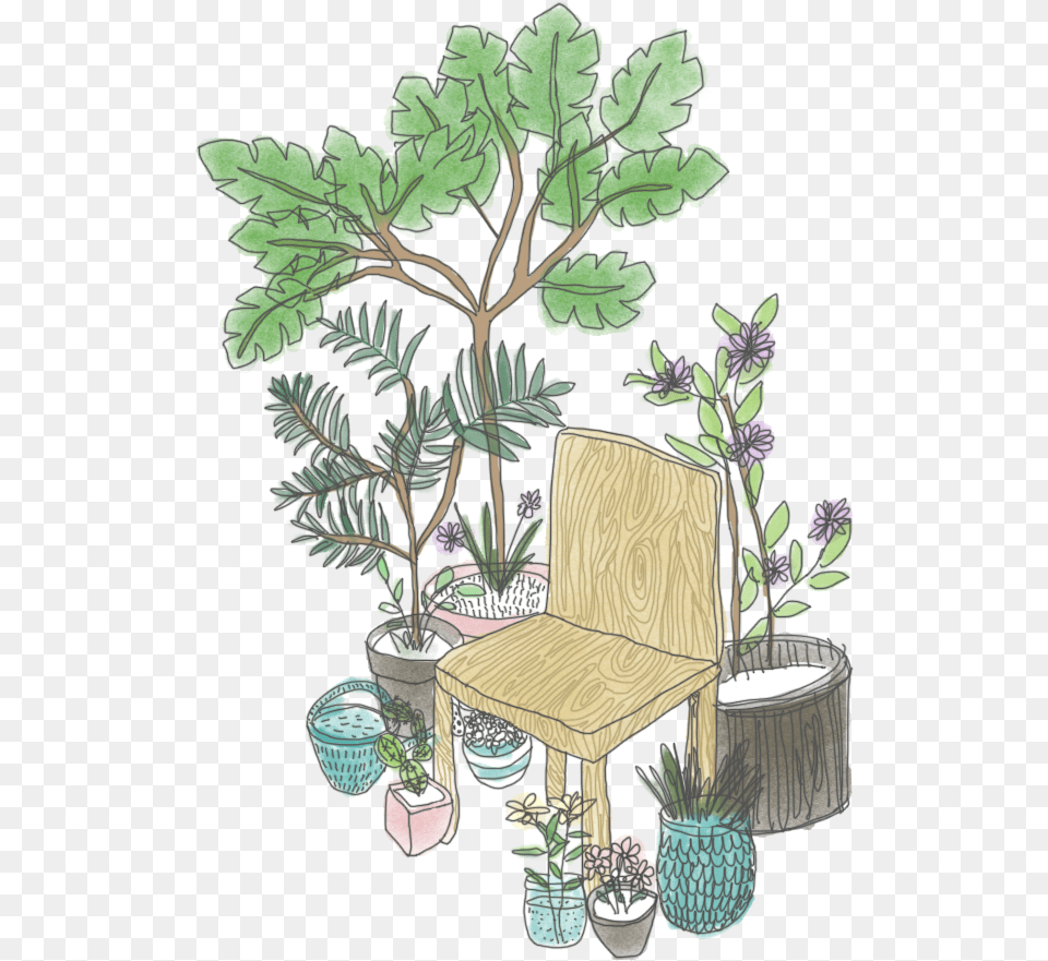 Transparent Plant Tumblr, Potted Plant, Table, Tree, Furniture Free Png