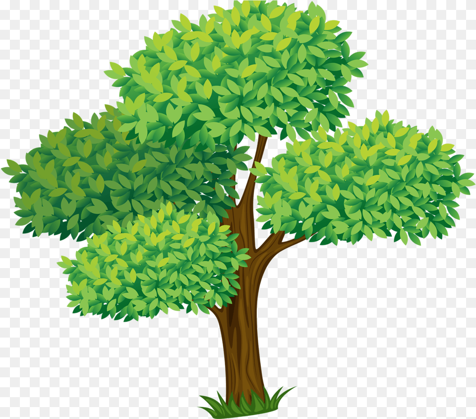 Transparent Planting Clipart Trees Cartoon, Vegetation, Tree, Plant, Green Png