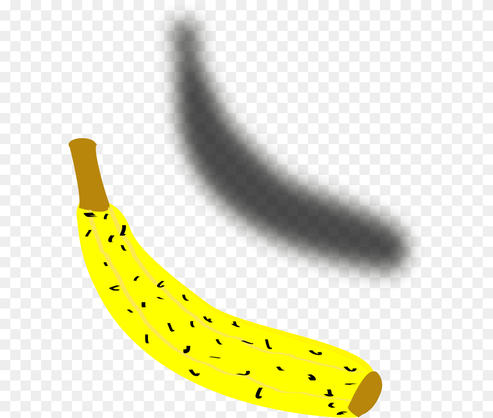 Transparent Platano Saba Banana, Food, Fruit, Plant, Produce Png Image