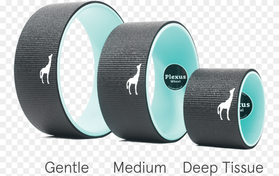 Transparent Plexus Logo Yoga Wheel Sizes, Accessories, Tape, Animal, Antelope Png Image