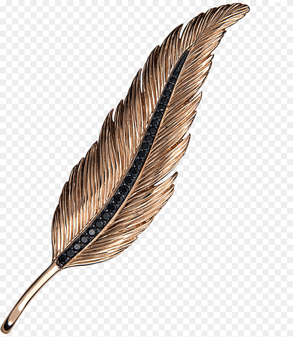 Plumas Shadow, Accessories, Animal, Bird, Jewelry Free Transparent Png