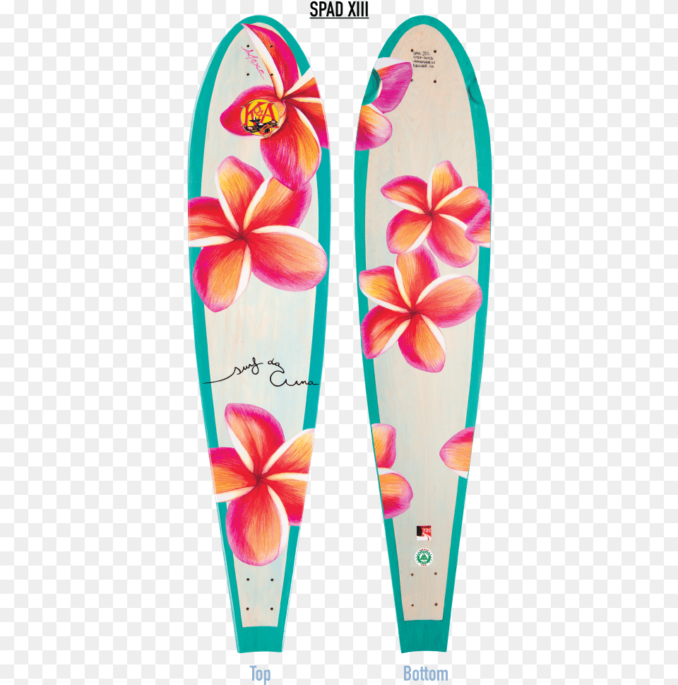 Plumeria Flower Surfboard With Plumeria, Leisure Activities, Nature, Outdoors, Sea Free Transparent Png