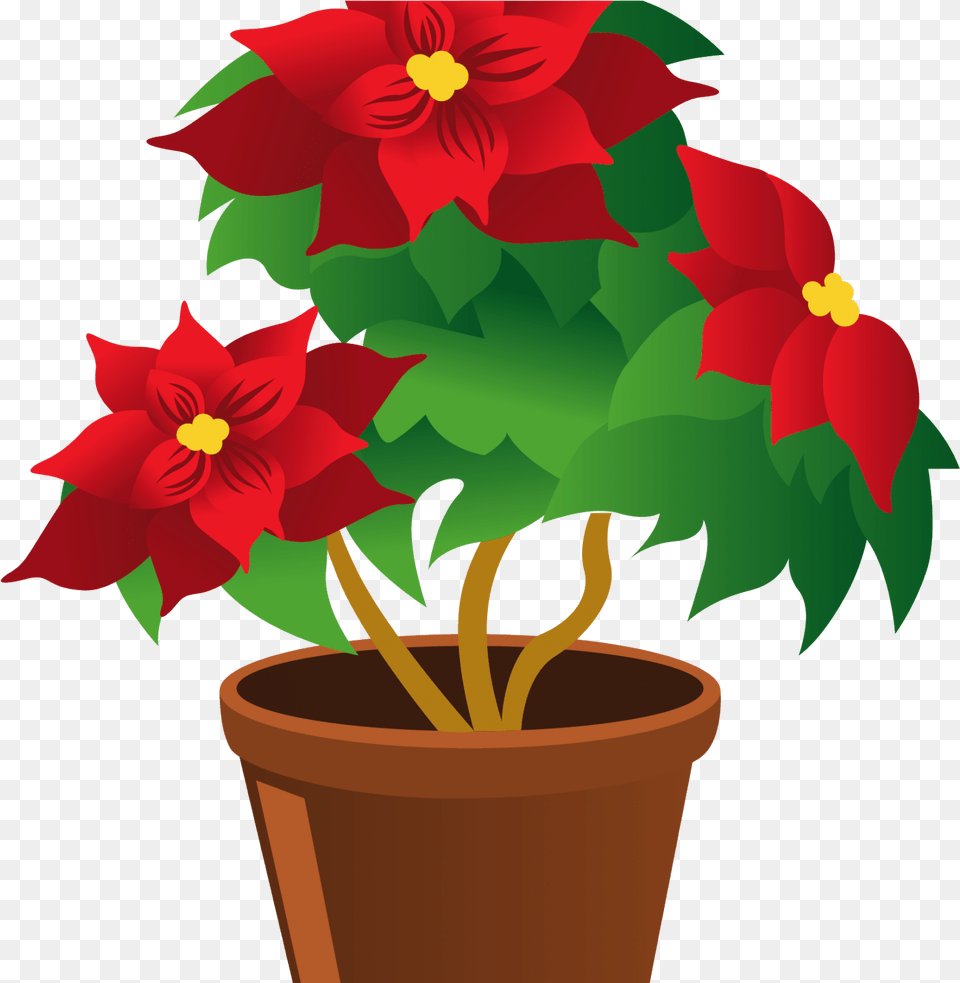 Transparent Poinsetta, Plant, Flower, Potted Plant, Leaf Free Png Download