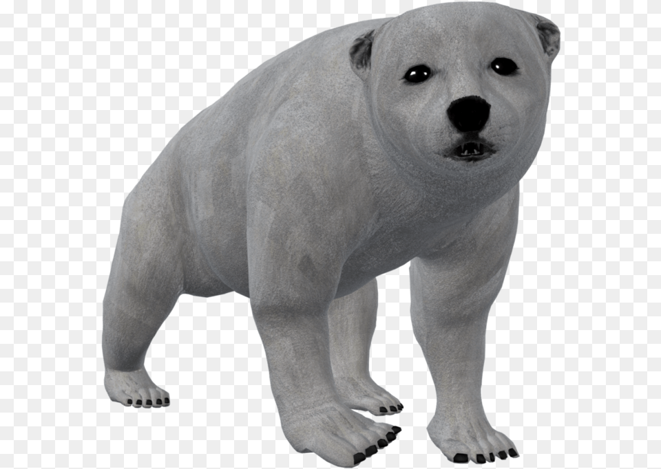 Polar Bear Otter, Animal, Mammal, Wildlife, Polar Bear Free Transparent Png