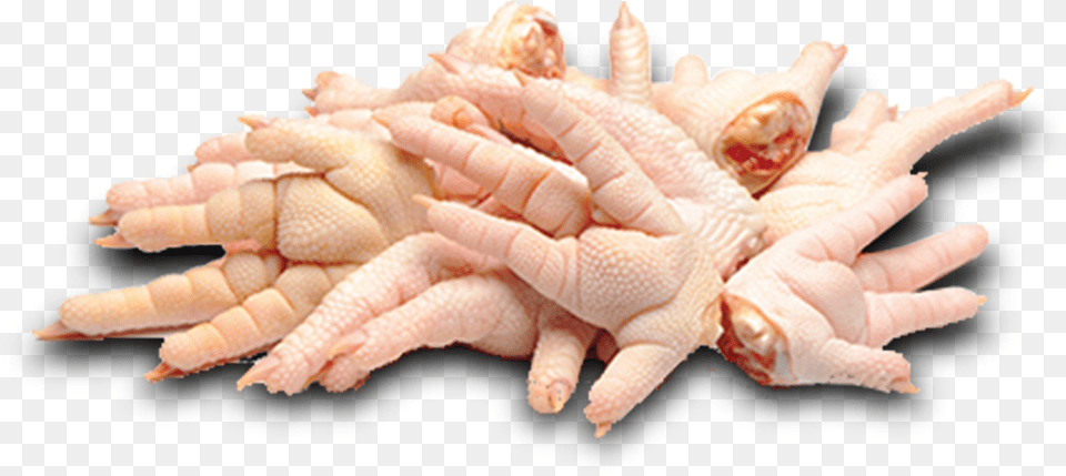 Pollo Chicken Feet Food Raw, Body Part, Finger, Hand, Person Free Transparent Png