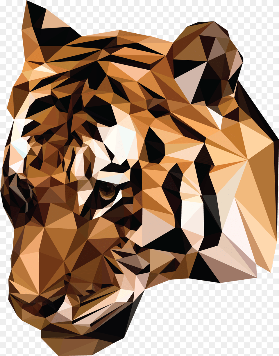 Polygon Tiger Iphone Xs Max, Person, Accessories, Diamond, Gemstone Free Transparent Png