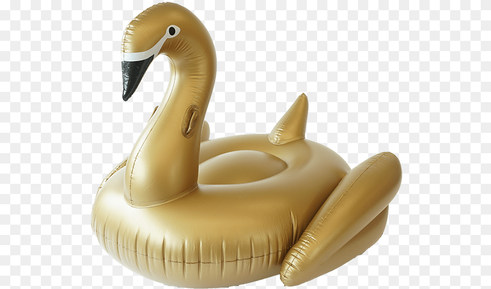 Transparent Pool Floaties Floaties, Inflatable, Animal Png Image