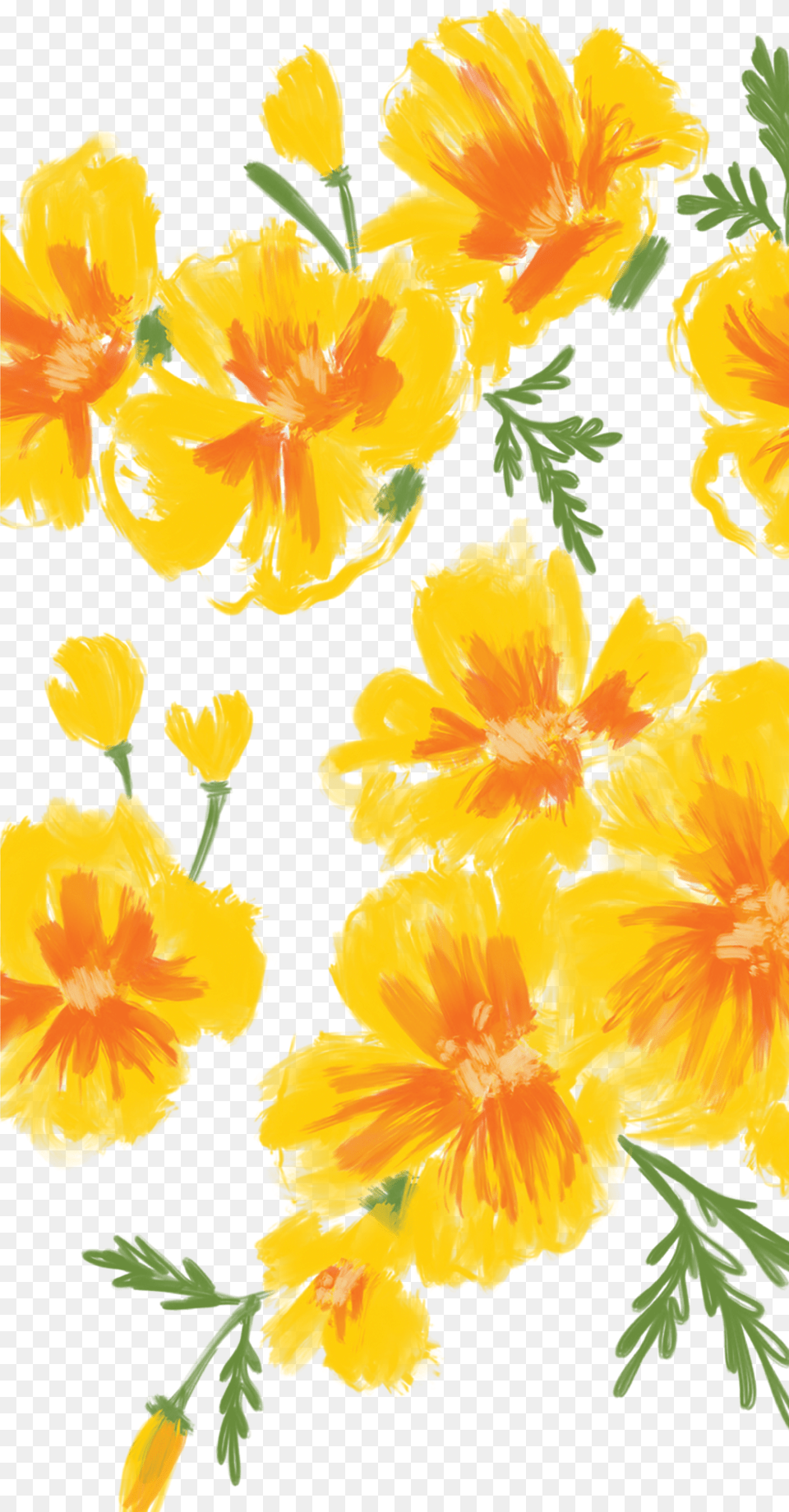 Poppies Iphone Floral Wallpaper Hd Free Transparent Png