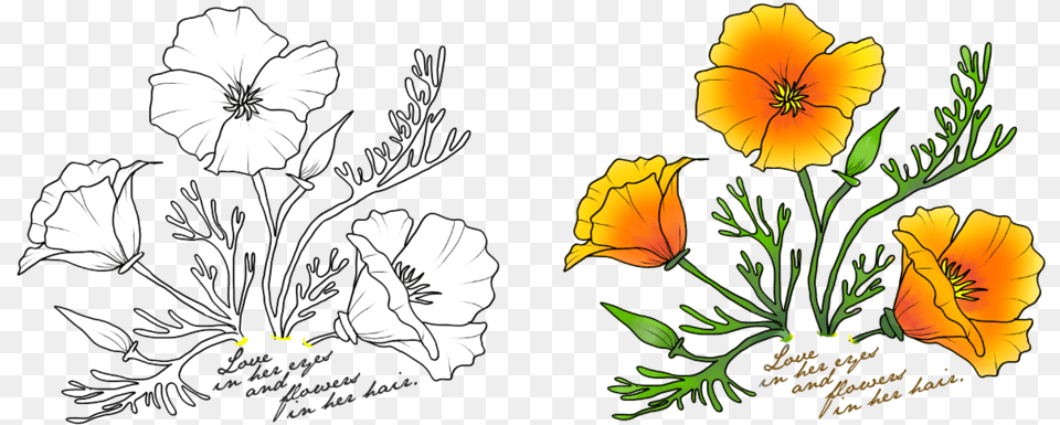 Transparent Poppy Clipart California State Flower Drawing, Art, Graphics, Herbal, Herbs Free Png Download