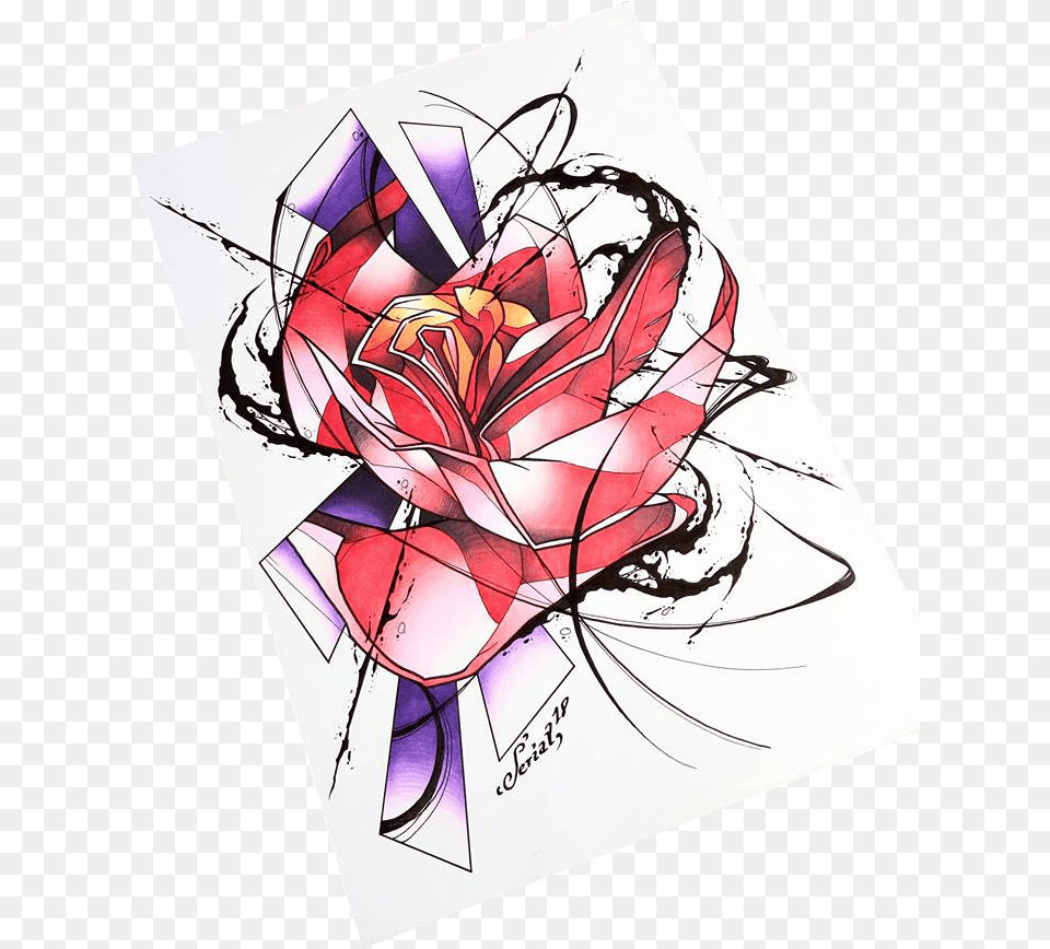 Transparent Poppy Flower Bouquet, Art, Graphics, Modern Art, Drawing Png