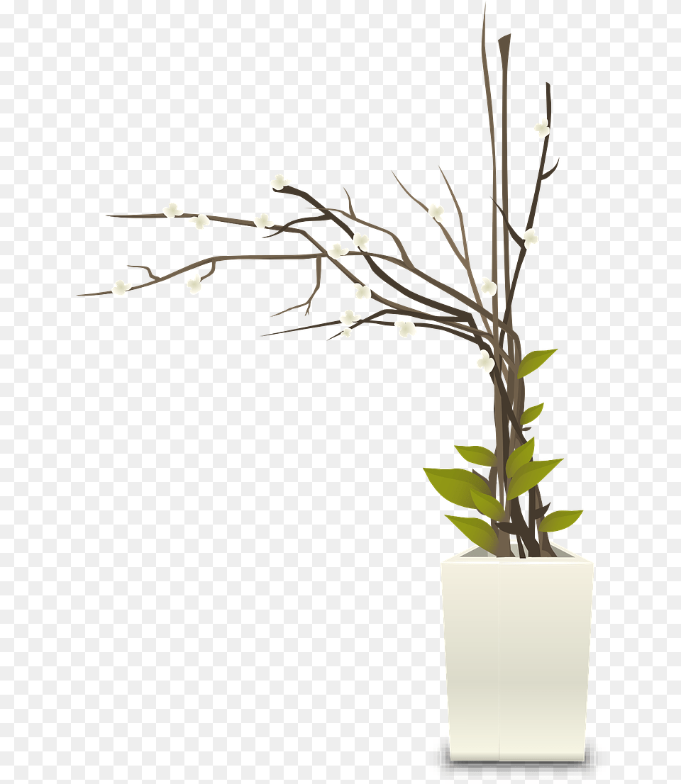 Transparent Pot Plant Indoor Pot Plant, Flower, Flower Arrangement, Ikebana, Potted Plant Free Png Download