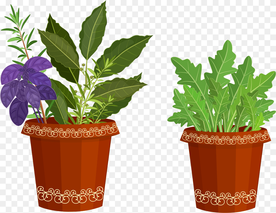 Transparent Potted Plant Potted Plants Clip Art, Leaf, Potted Plant, Herbal, Herbs Free Png