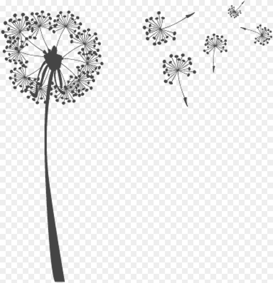 Transparent Pretty Flower Clipart Transparent Background Dandelion Clipart, Plant, Blackboard Png Image