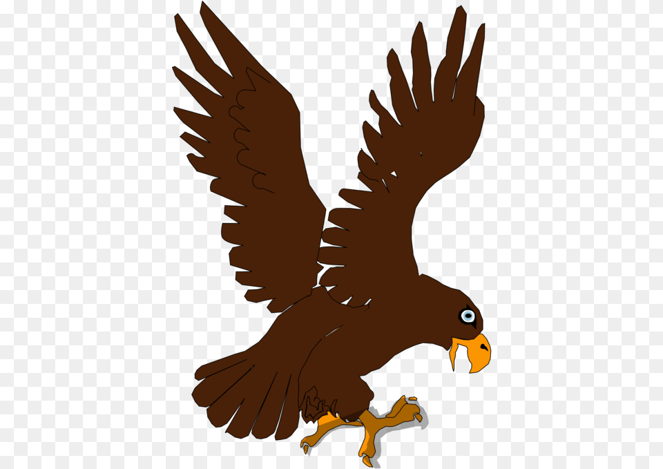 Transparent Prey Clipart Eagle For Kids, Animal, Beak, Bird, Kite Bird Free Png Download