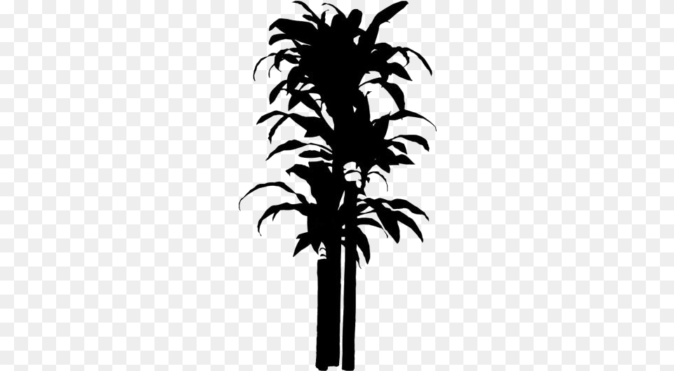 Transparent Propagate House Plant Image Silhouette, Palm Tree, Tree, Stencil Free Png