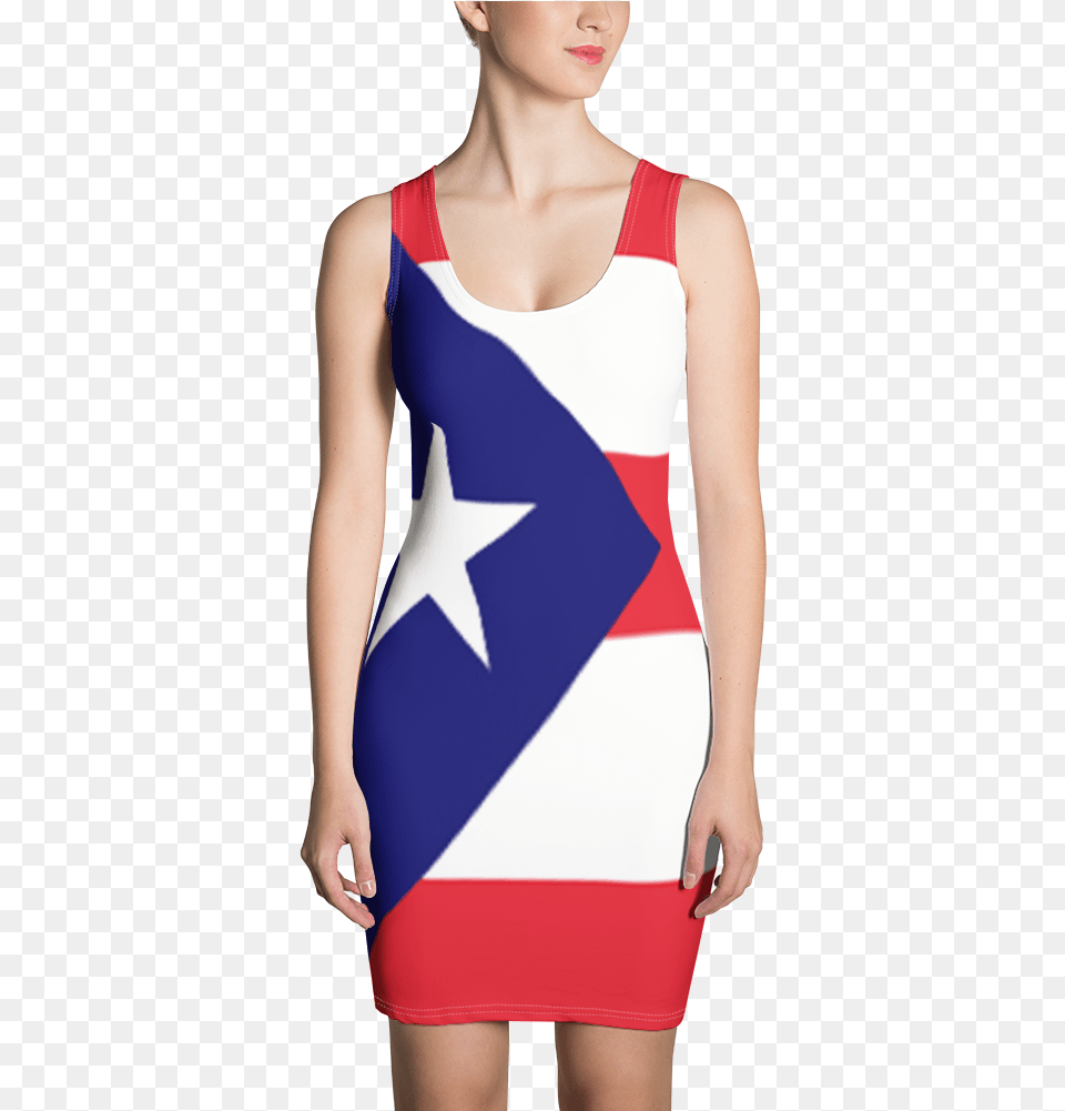 Transparent Puerto Rican Flag Red Blood Cells Dress, Clothing, Swimwear, Adult, Person Free Png Download