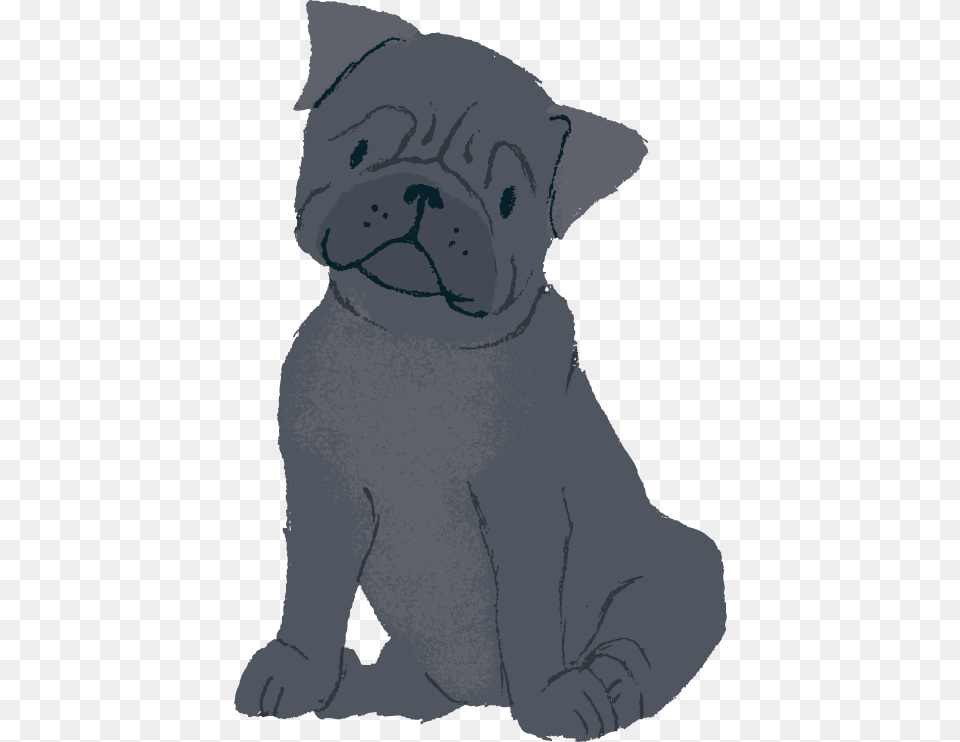 Transparent Pug Clipart Pug, Animal, Canine, Mammal, Baby Free Png Download