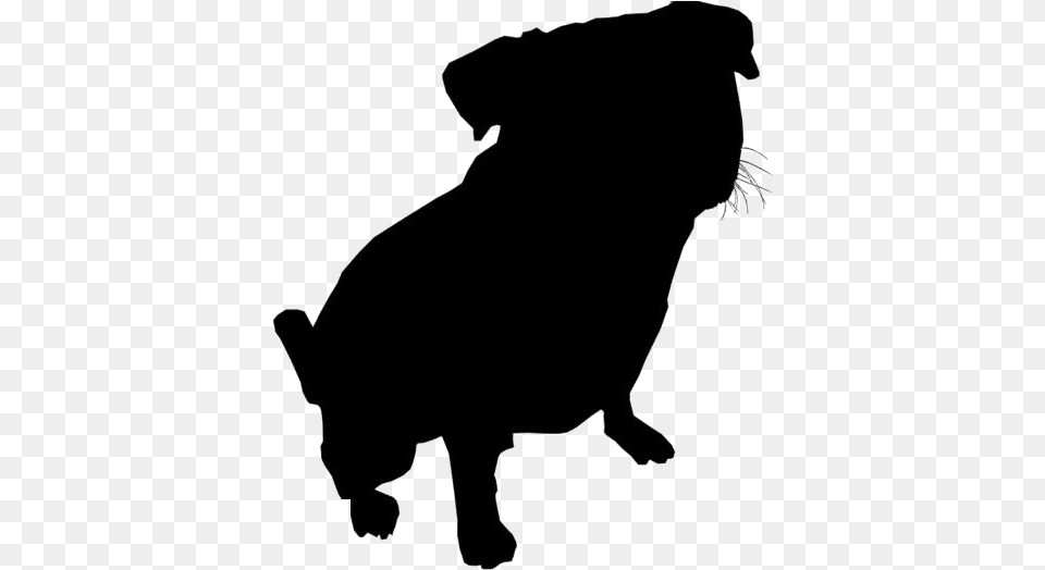 Transparent Pug Puppy Picture Dog Licks, Silhouette, Animal, Mammal, Kangaroo Free Png