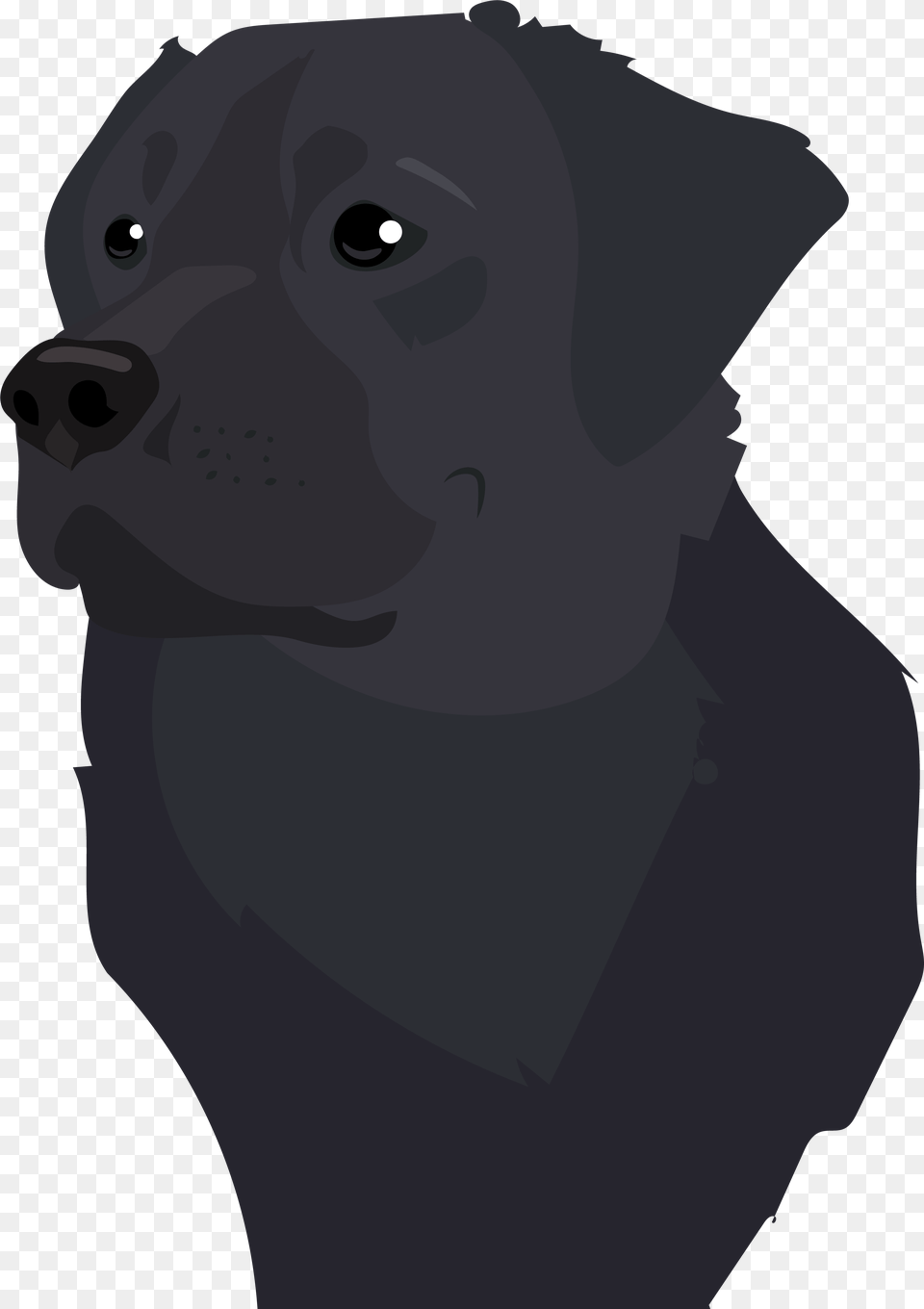 Transparent Pug Vector Illustration, Animal, Canine, Dog, Labrador Retriever Free Png Download