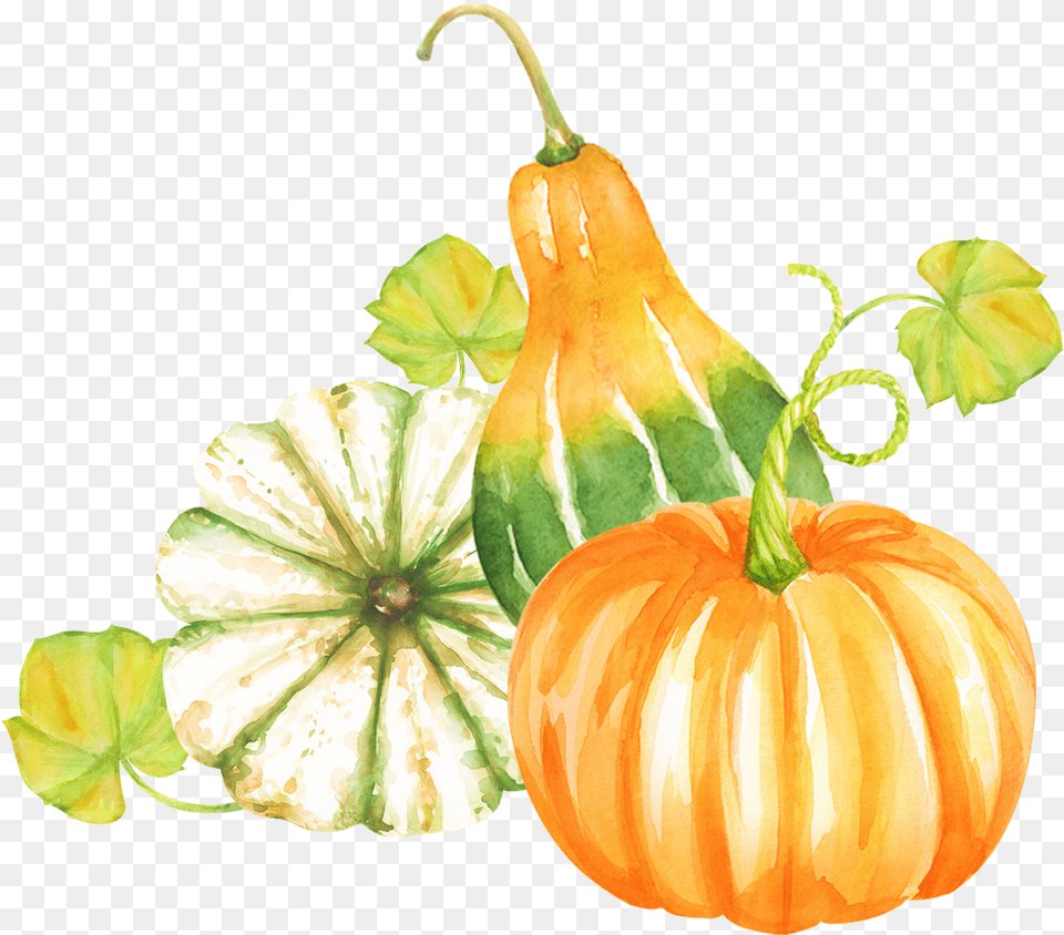 Transparent Pumpkin Clip Art Action De Grace Citrouille Free Png