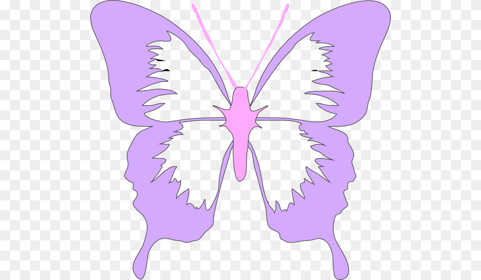 Transparent Purple Butterflies Clipart Purple And Pink Butterfly Clipart, Flower, Plant, Baby, Iris Free Png Download