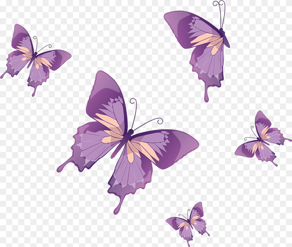 Transparent Purple Butterfly Background, Flower, Plant, Petal Free Png