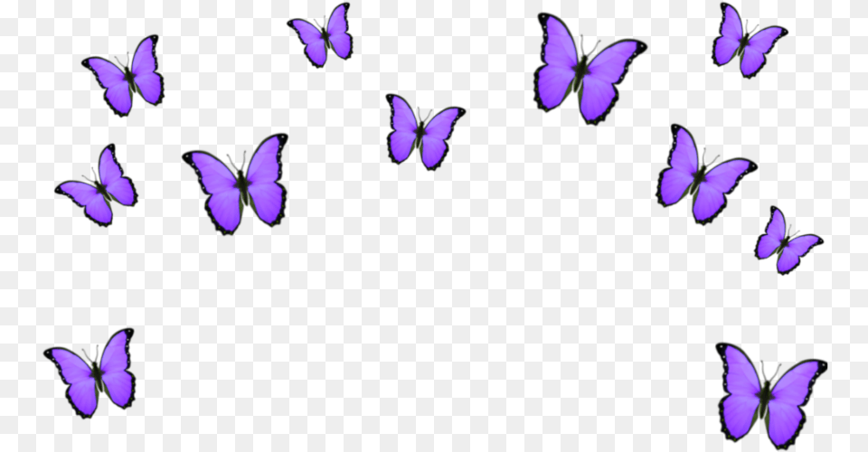 Purple Crown Blue Butterfly Emoji, Flower, Petal, Plant Free Transparent Png