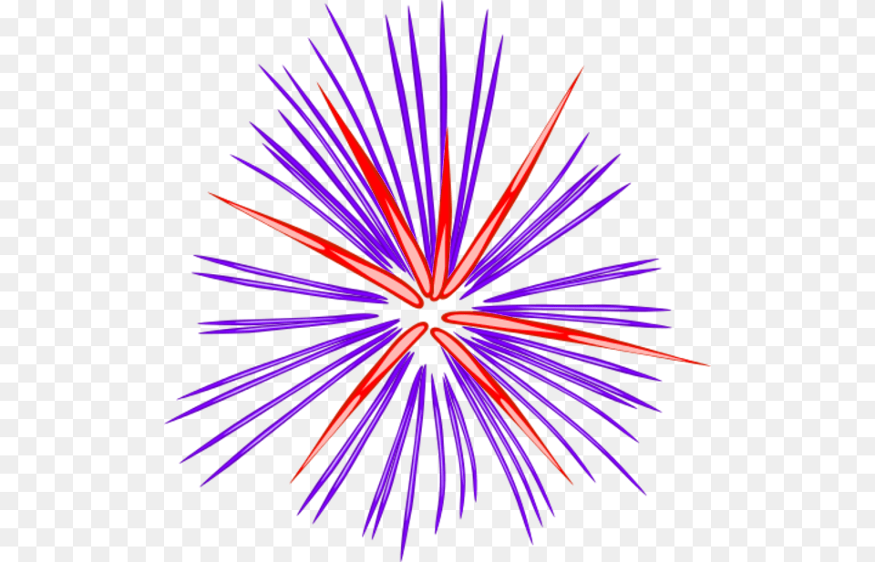 Purple Fireworks Clipart, Light, Plant Free Transparent Png