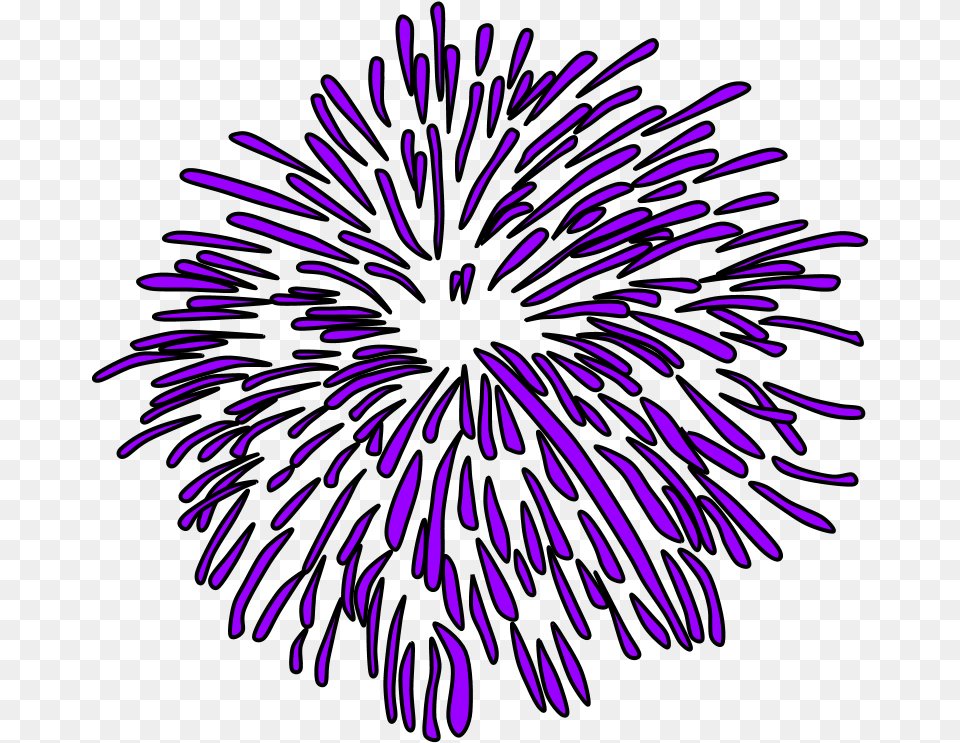 Transparent Purple Fireworks Portable Network Graphics, Plant Png Image